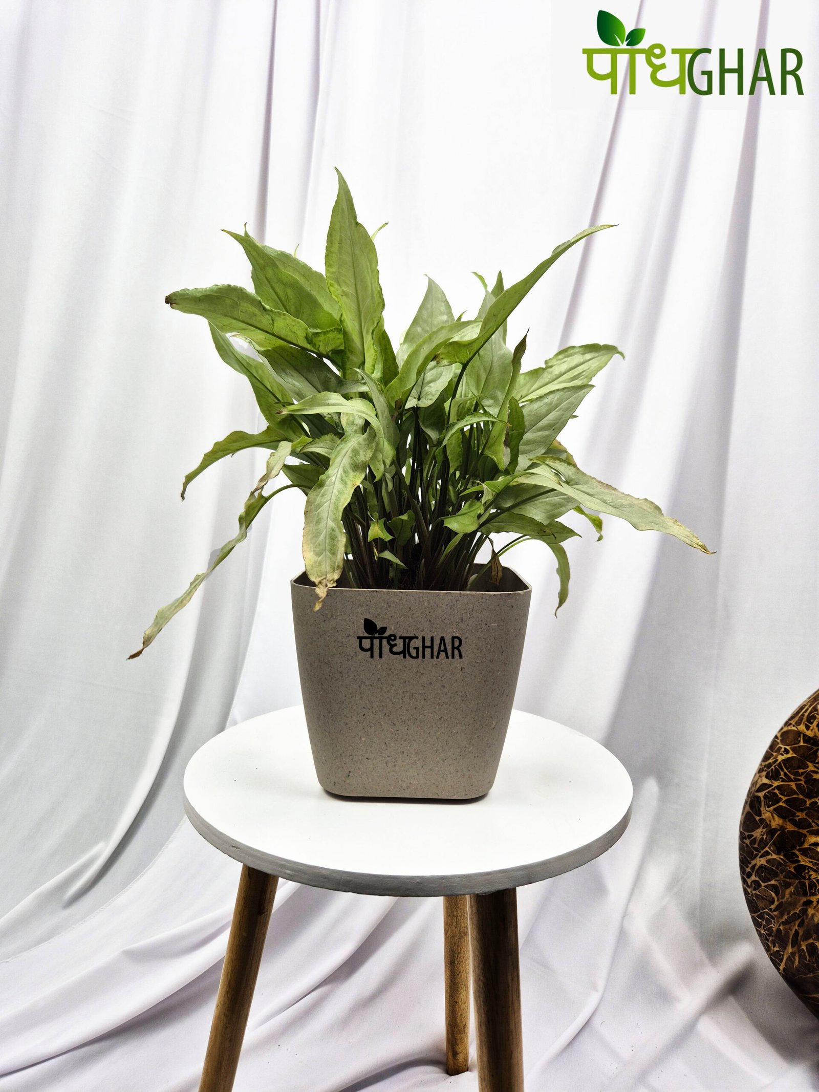 The Siena Eco-Friendly Pot from Podhghar combines sustainability with modern design, enhancing your indoor and outdoor spaces. Made from recycled materials, it offers durability and eco-consciousness. Available in various sizes and colors, it's perfect for balconies, gardens, and indoor corners. Choose Podhghar for a greener tomorrow!