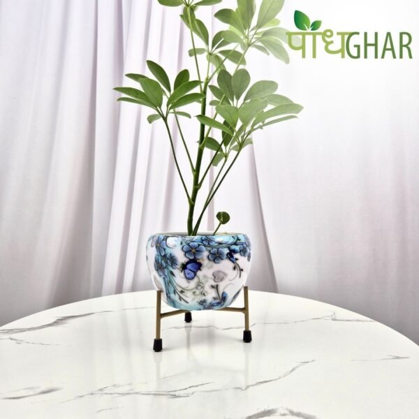 Nurture your plants with Podhghar Apple Pots! Crafted from eco-friendly materials, these lightweight and durable pots provide excellent drainage. Ideal for flowers, herbs, veggies, or indoor plants, they bring a playful apple-inspired design to any space. Easy to use, they’re perfect for gardeners of all levels, helping your plants flourish and thrive!