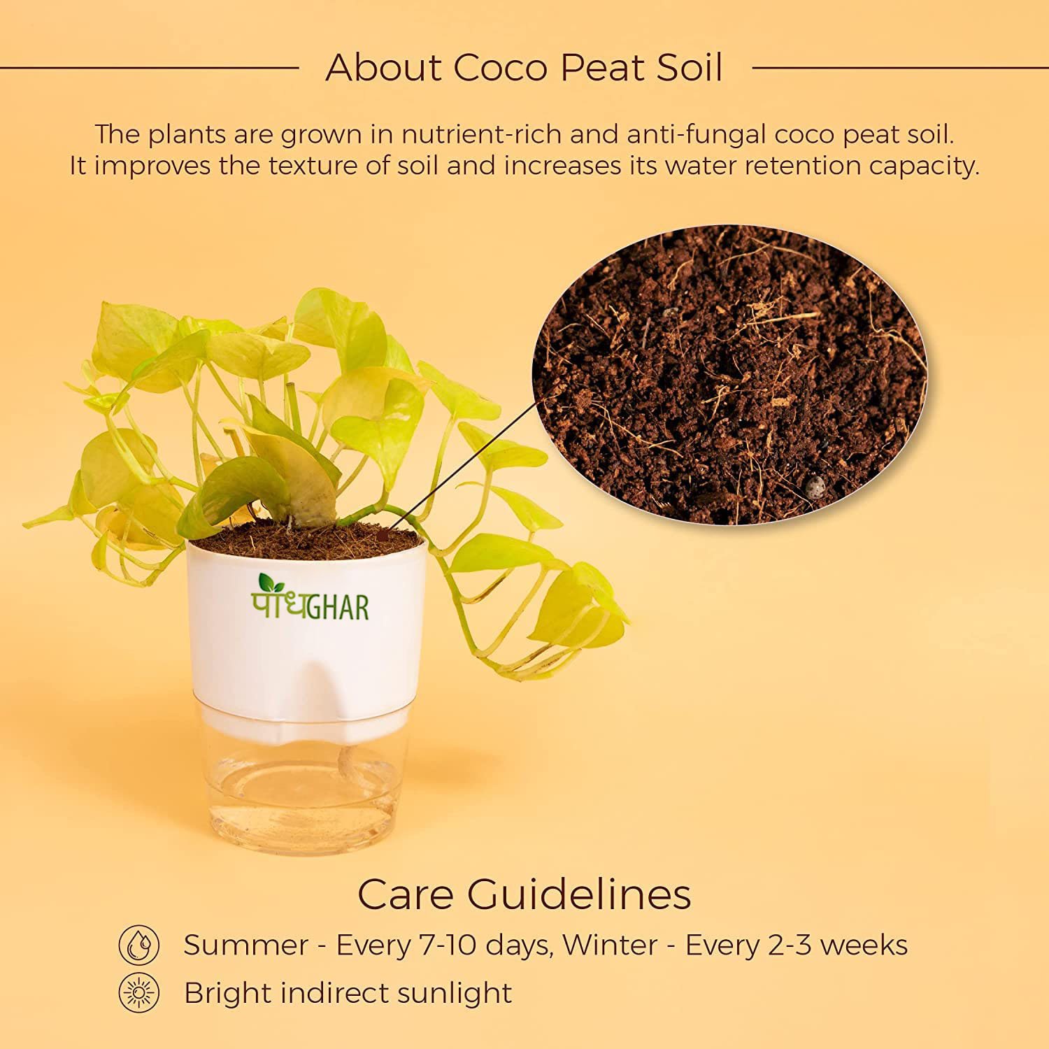 71tG6Mk9TlL. SL1500 1