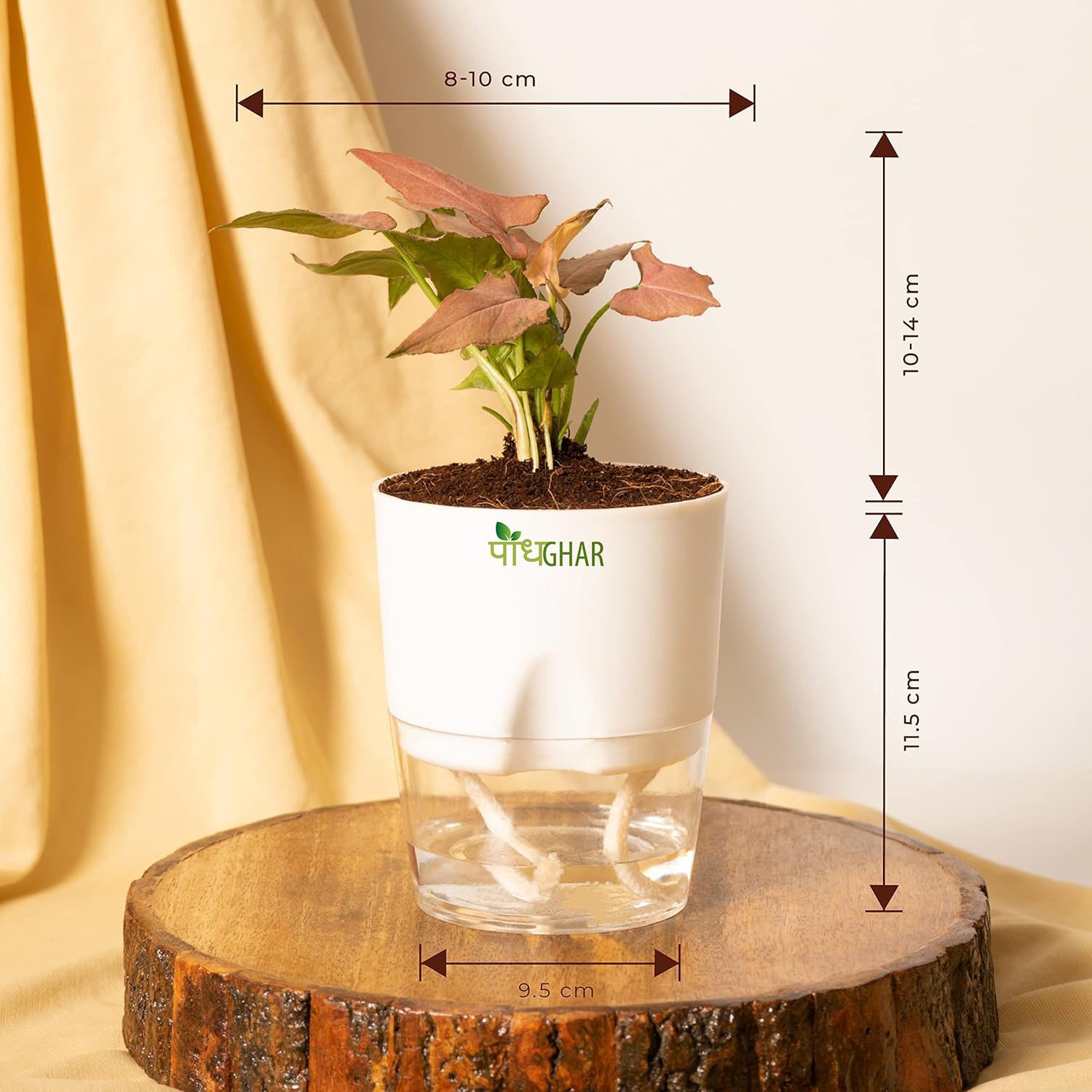 819IG3PSe-L._SL1500_ 819IG3PSe L. SL1500