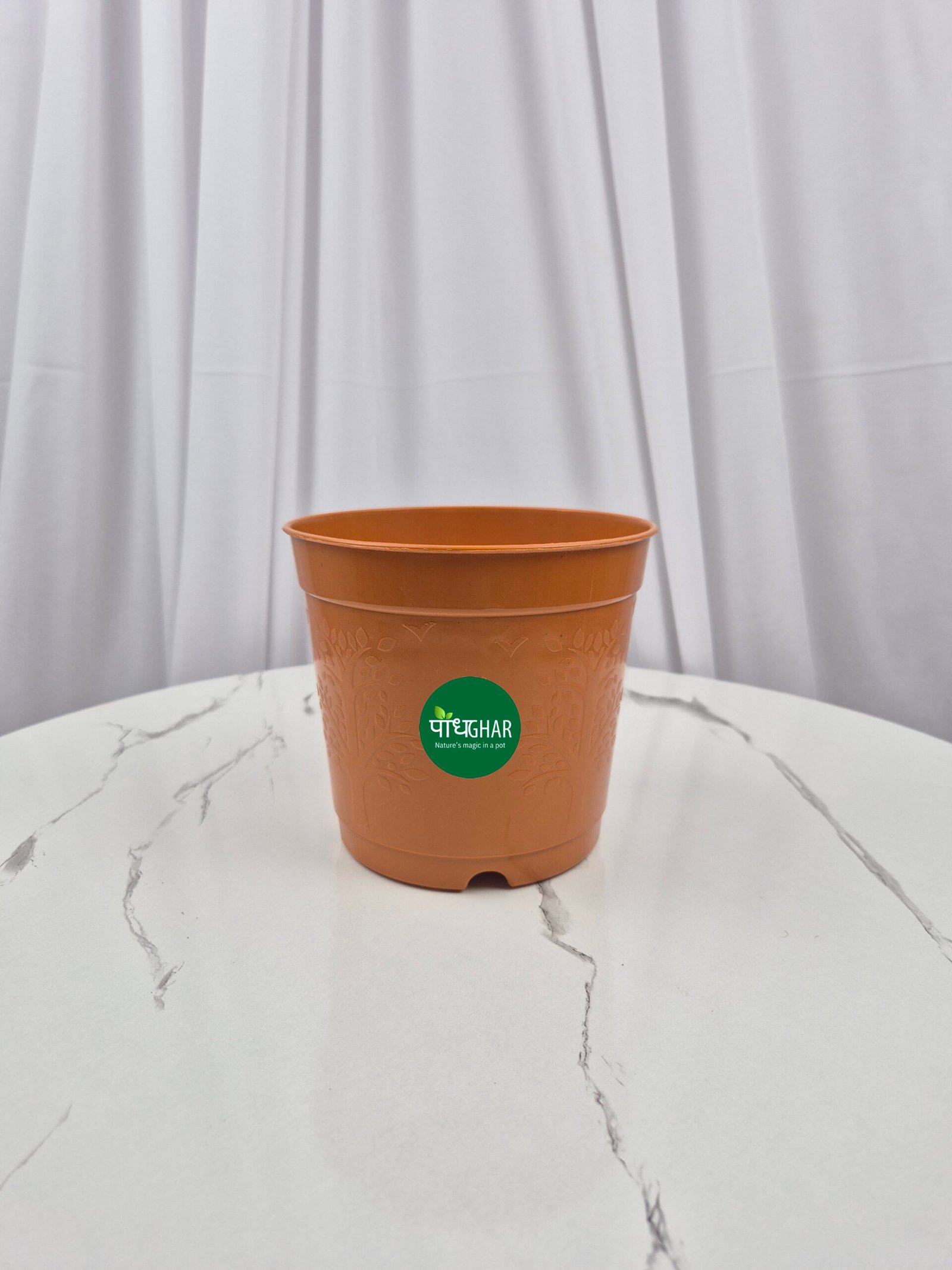 20240828 142655 scaled