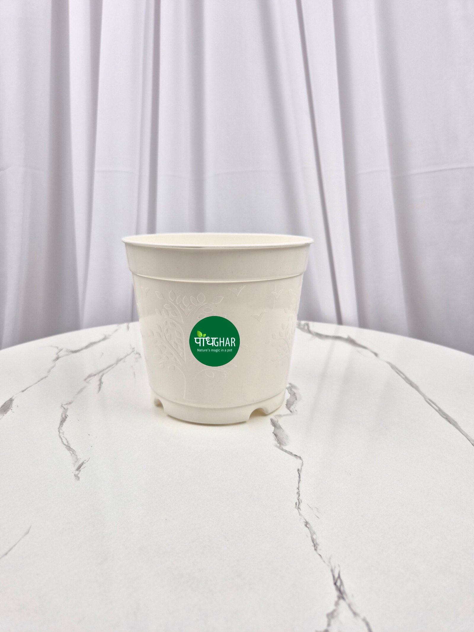 20240828 142851 scaled