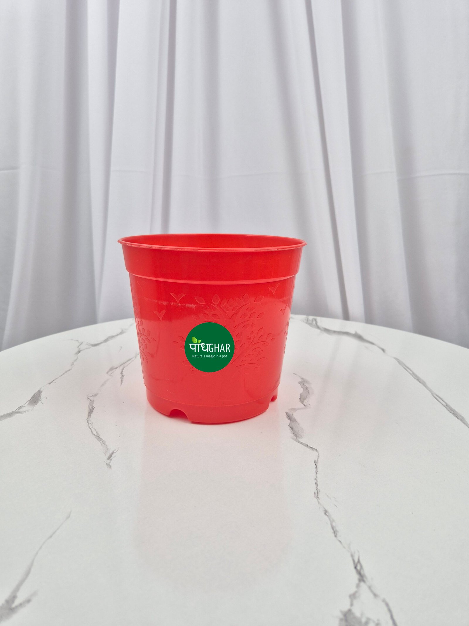 20240828 142958 scaled