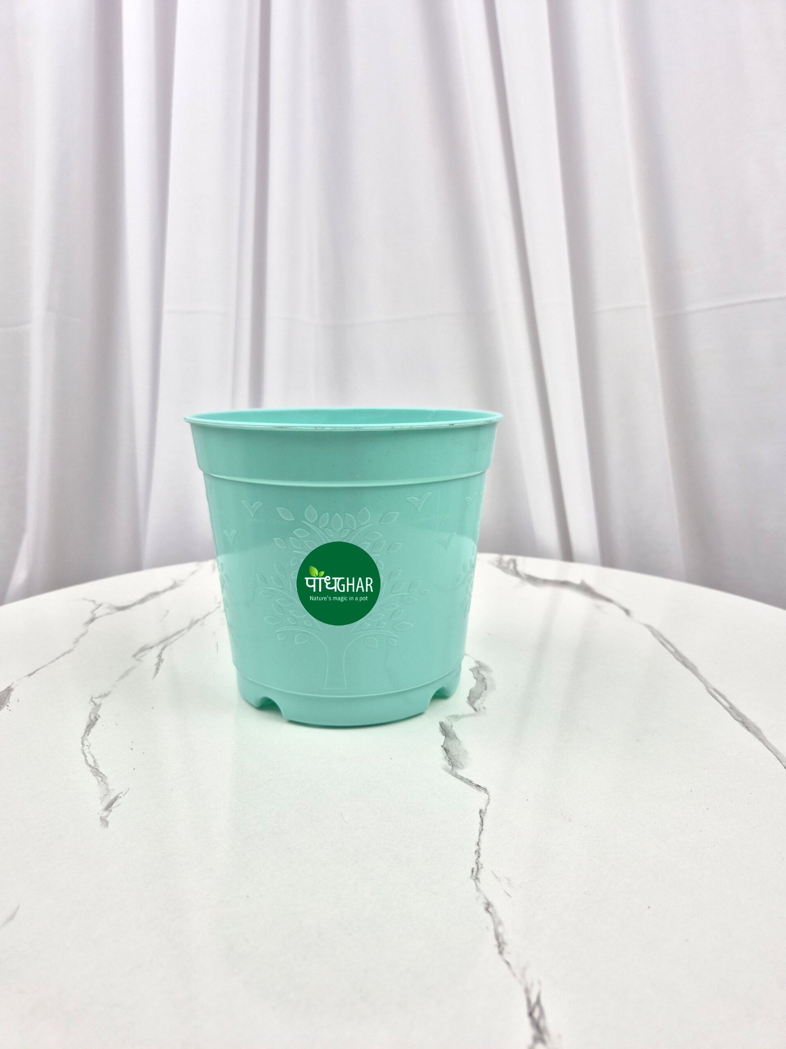 20240828 143109 scaled