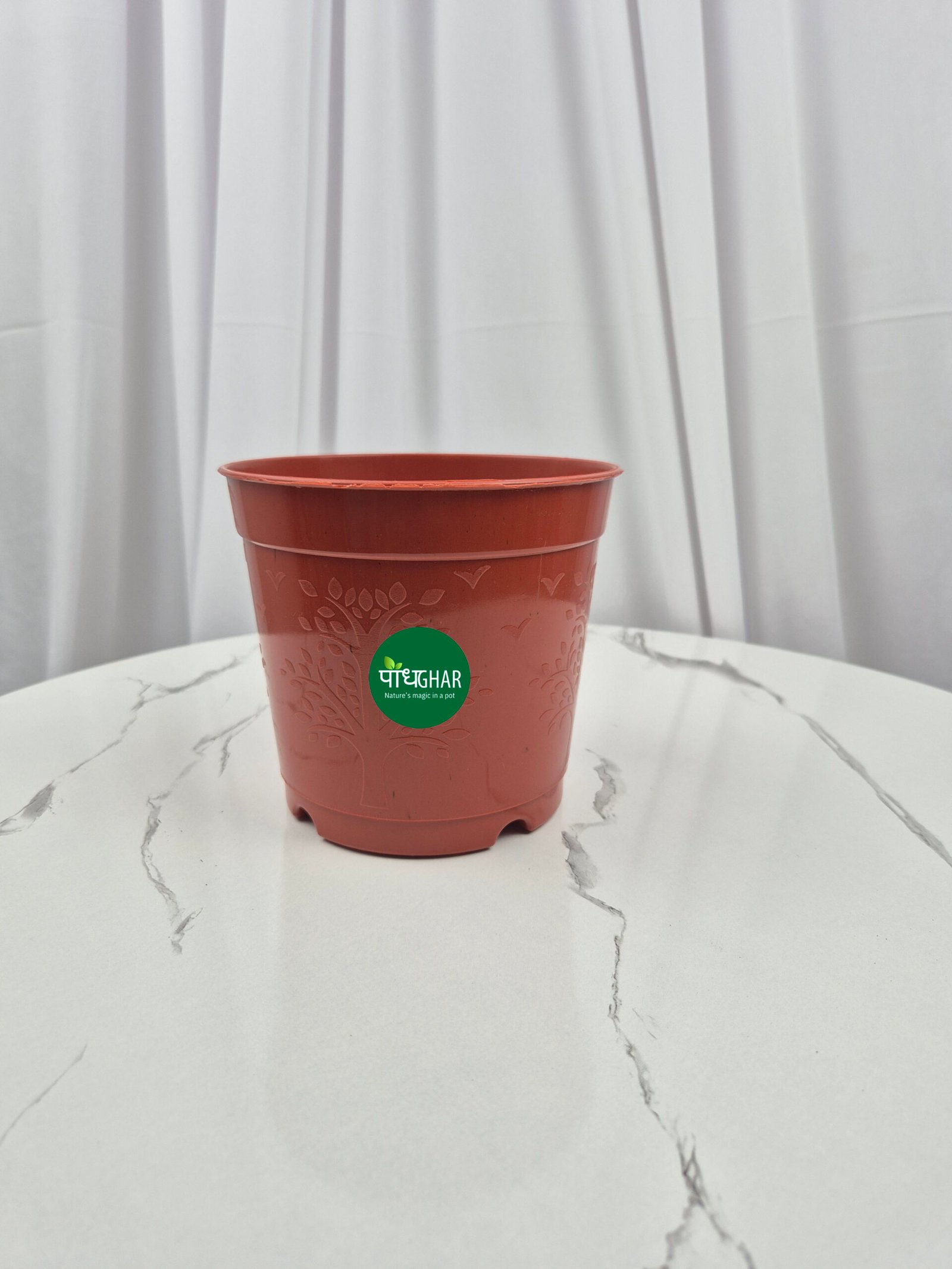 20240828 143149 scaled