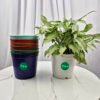 Podhghar nursery pots are perfect for growing and moving plants. Made from durable plastic, they come in various sizes to suit all stages of growth. With drainage holes for proper water flow, they prevent overwatering and support healthy root development. Choose Podhghar for strong, thriving plants!