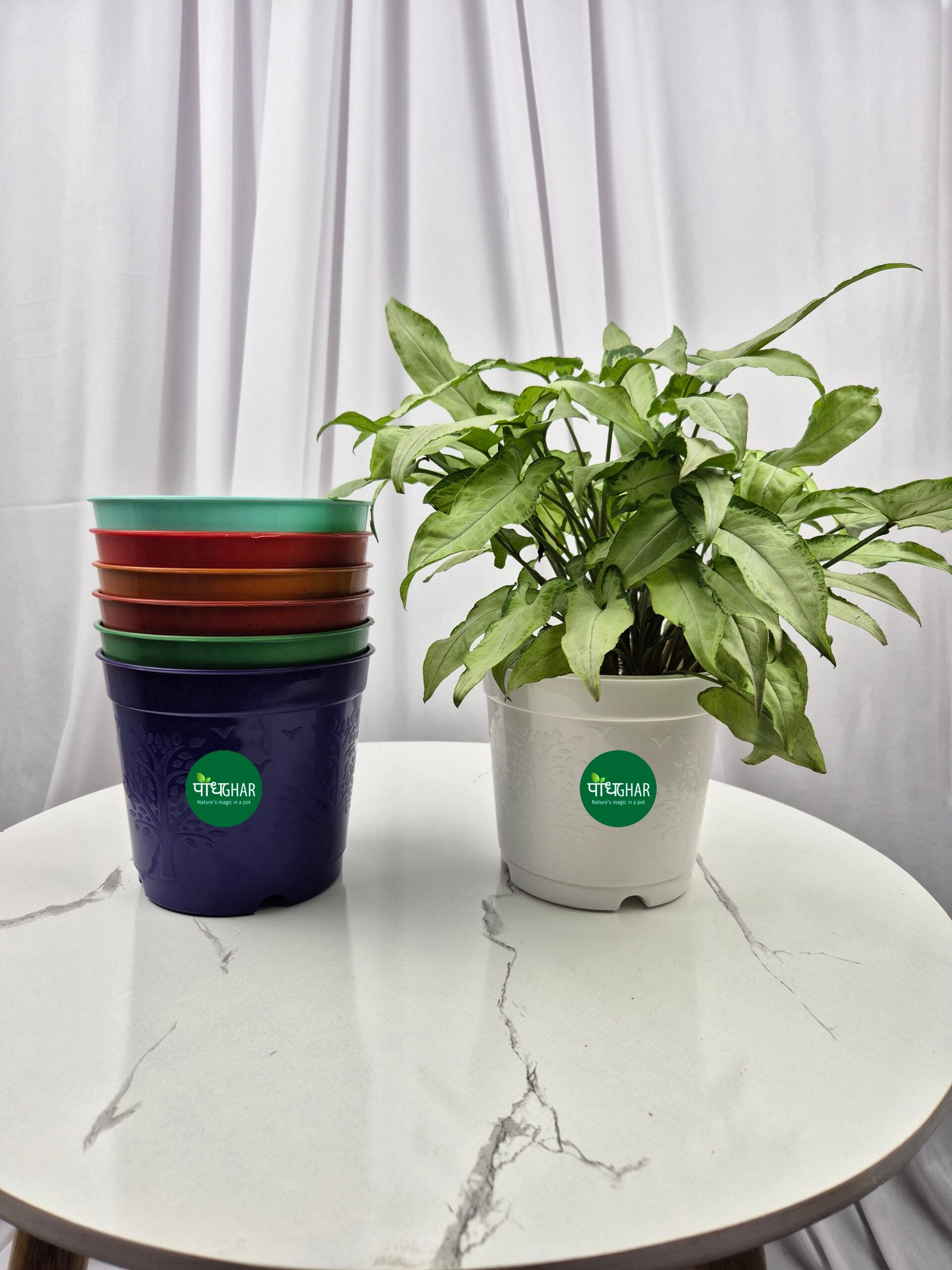Podhghar nursery pots are perfect for growing and moving plants. Made from durable plastic, they come in various sizes to suit all stages of growth. With drainage holes for proper water flow, they prevent overwatering and support healthy root development. Choose Podhghar for strong, thriving plants!