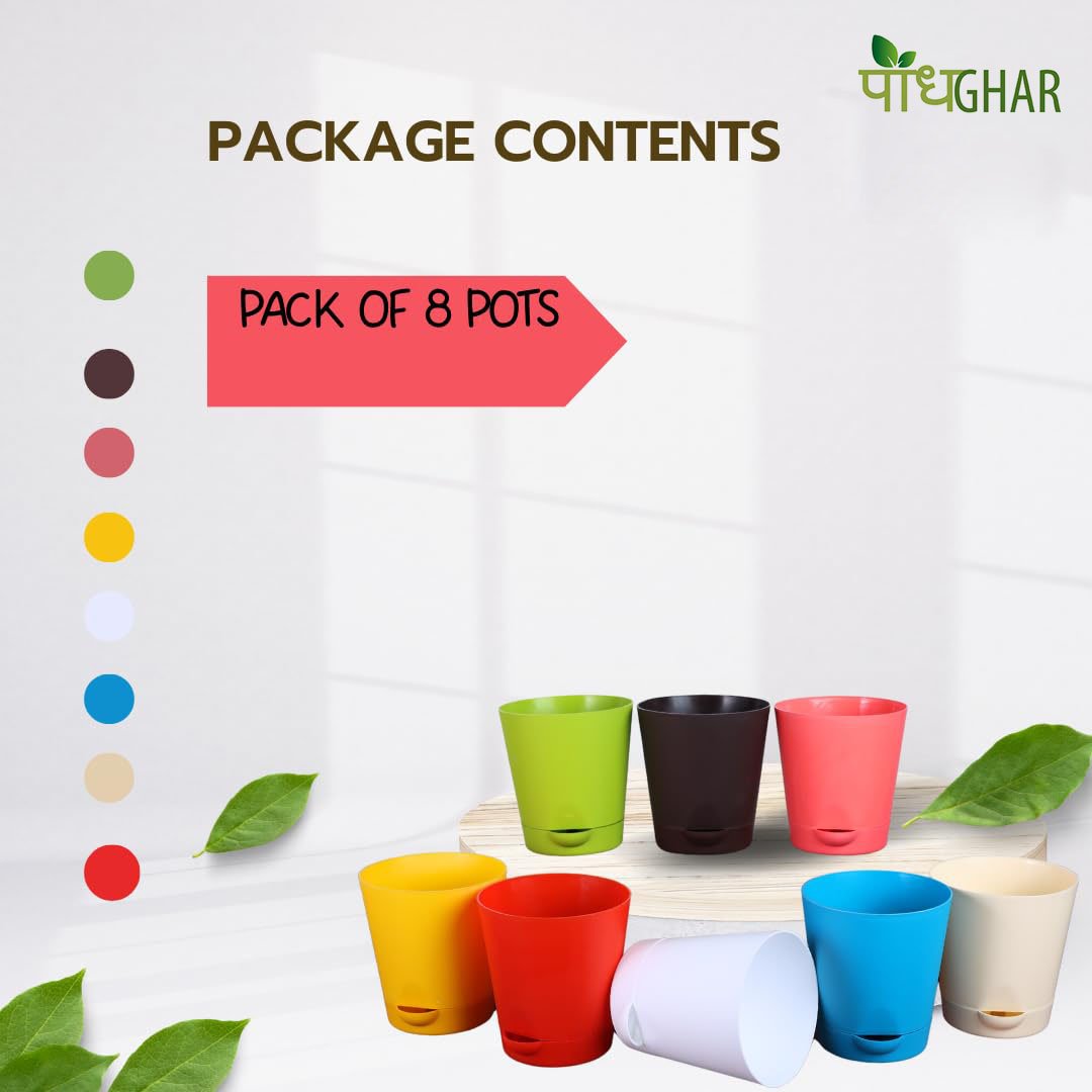 A bold botanical masterpiece from Podhghar, built for spaces that crave strength and serenity. With its striking structure and deep green charm, Titan isn’t just a plant—it’s presence.