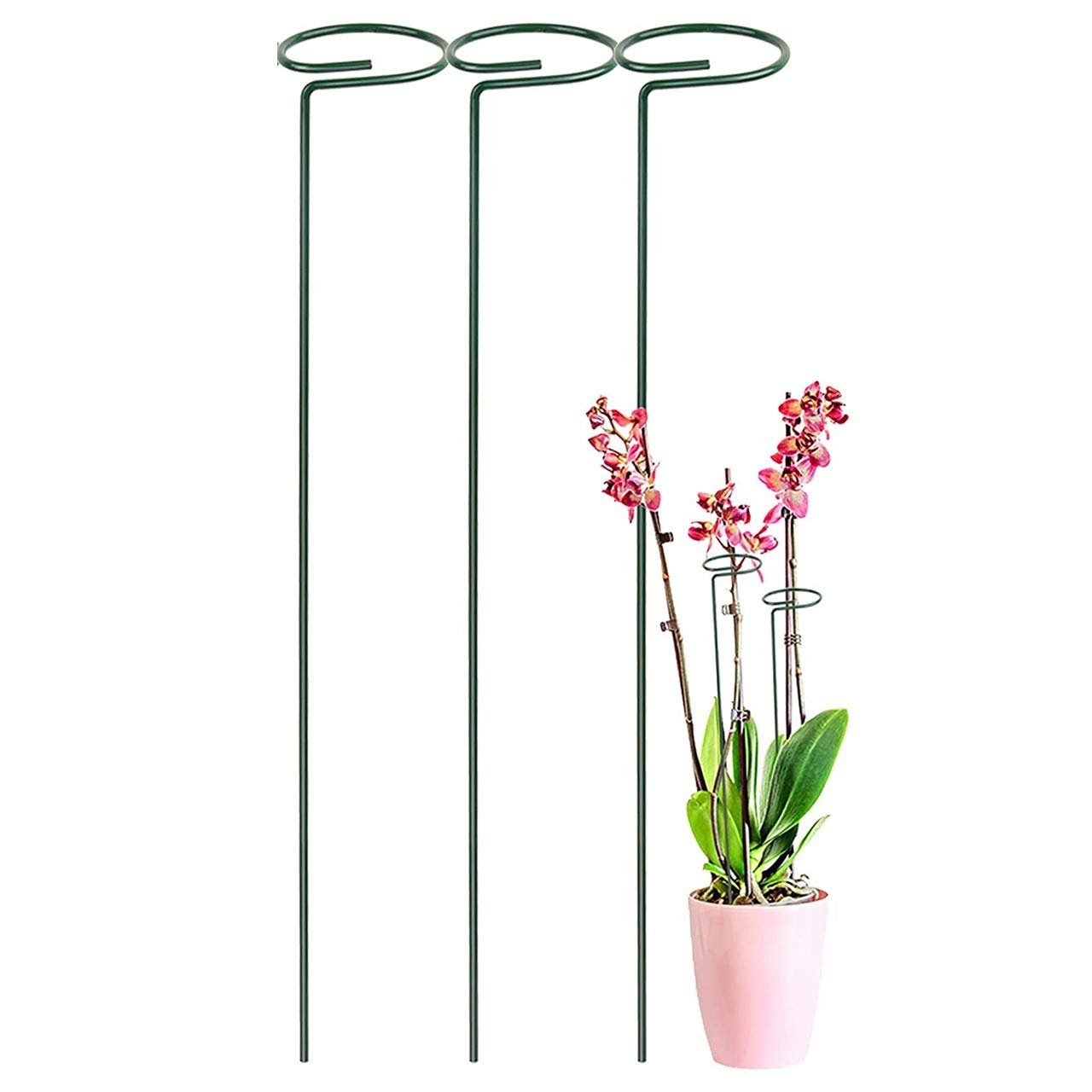 The Podhghar Plant Support Stick is a 16cm tall sturdy support designed to keep your plants upright and healthy. Made from durable materials, it prevents bending and breakage, ensuring steady growth. Ideal for indoor and outdoor plants, it provides essential stability for climbing plants, vines, and delicate stems, helping your garden flourish beautifully.