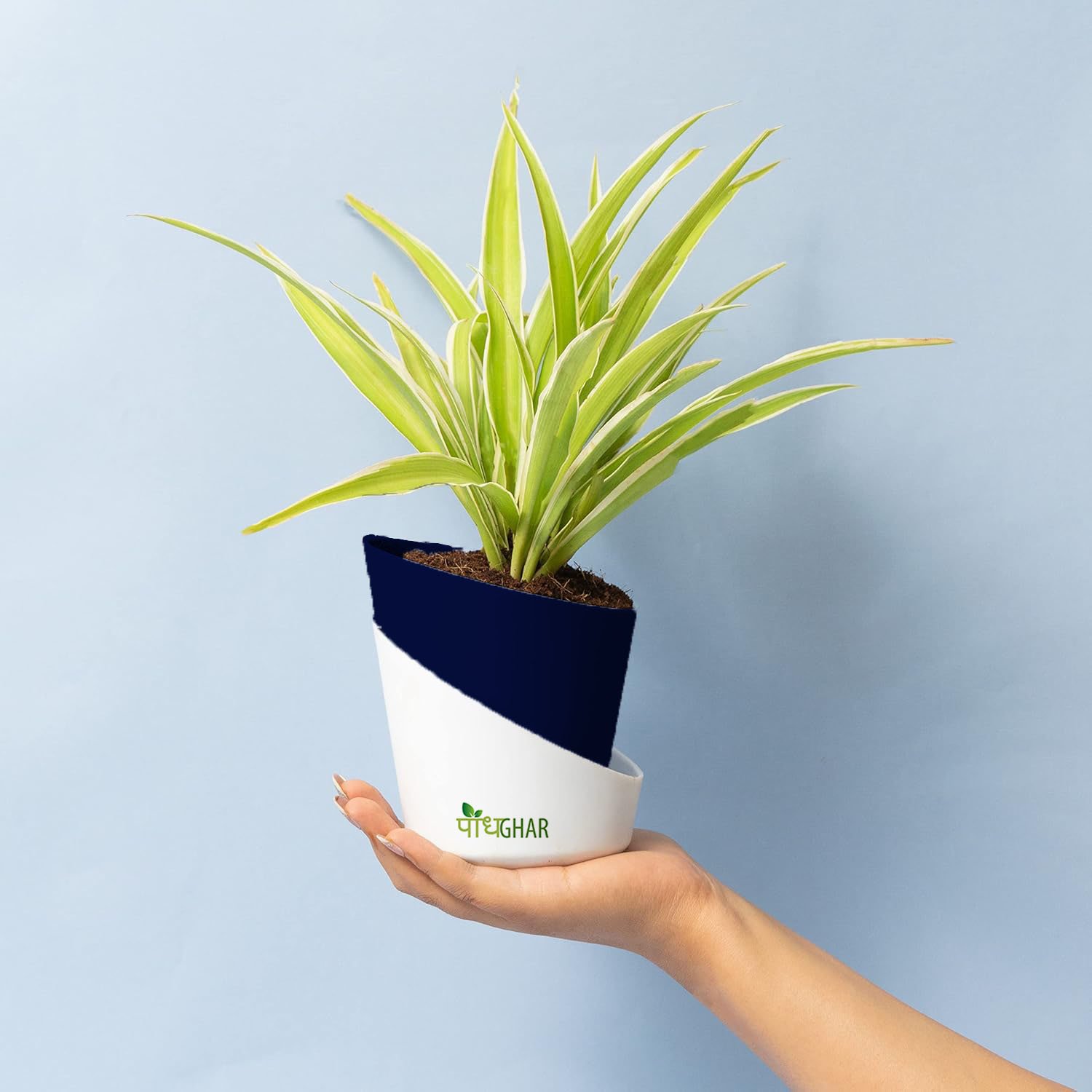 71RRKqG0FL. SL1500 65