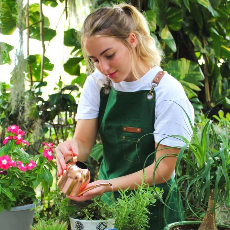 5 Minute Plant Care Routines for Busy Plant Lovers