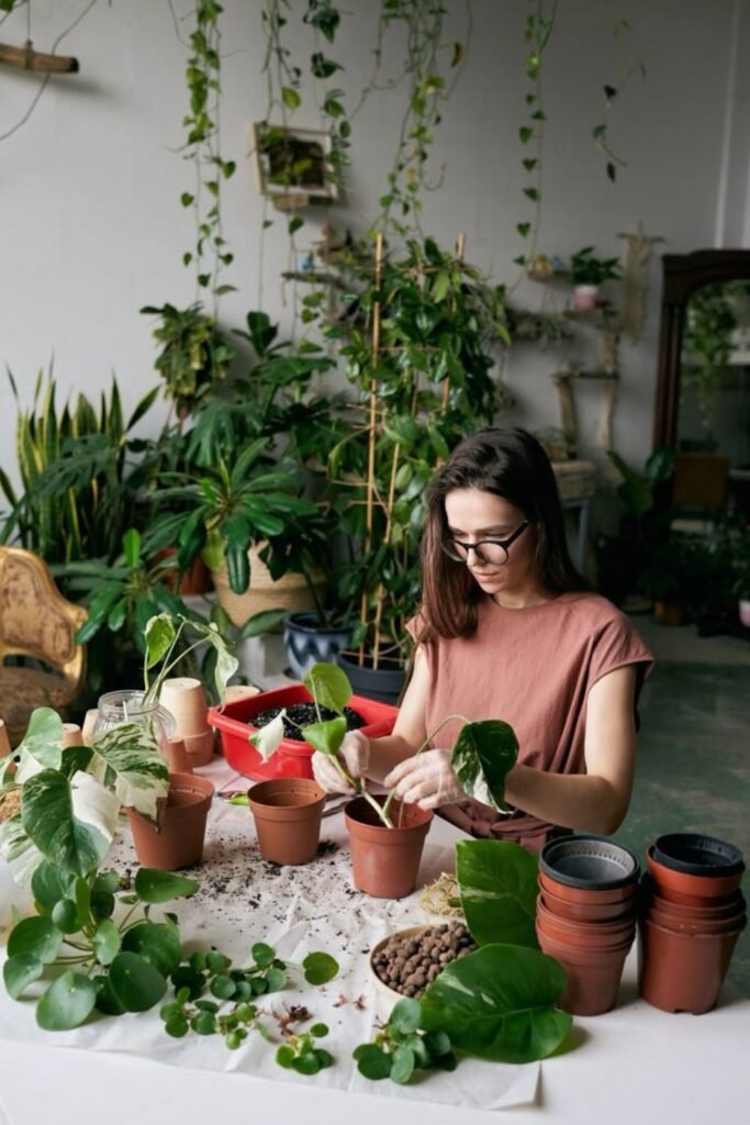 Plant-Parenting 101: Nurturing Your Plant’s Needs for Thriving Growth in Your Podhghar