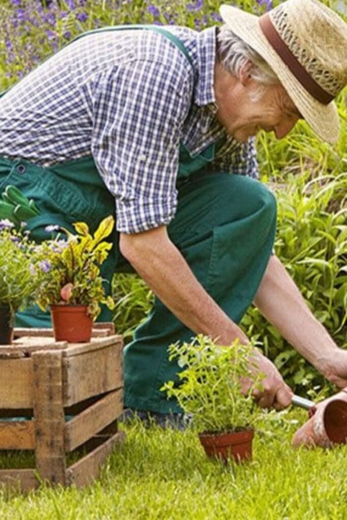 Gardening for Physical Health: Podhghar’s Take on Green Wellness