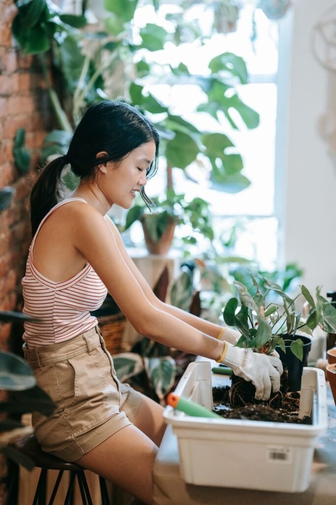 5 Plant Styling Tips: How to Decorate Your Home with Greenery at Podhghar