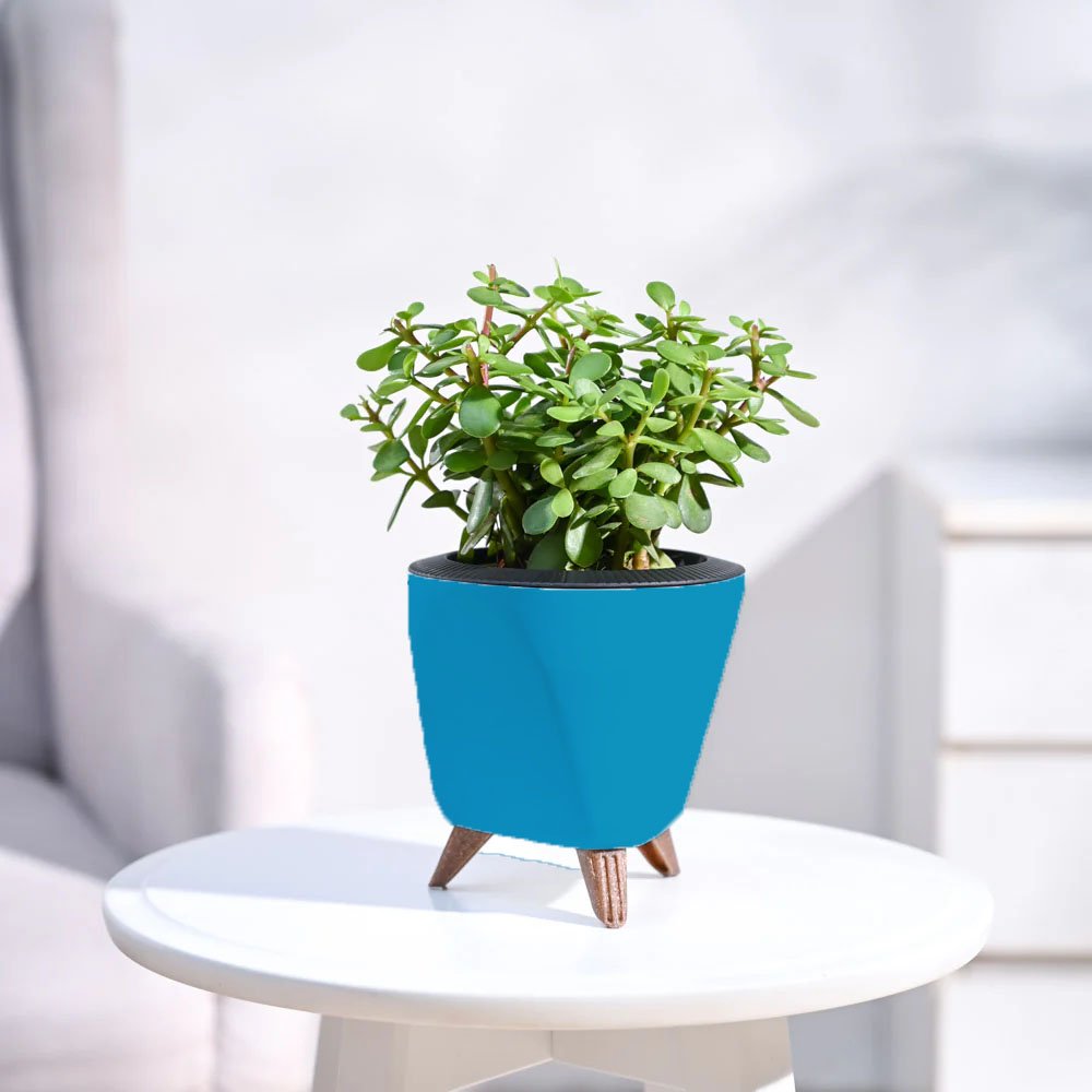 LagosPlanter-White_1a7761c8-72c7-4482-a64f-580e3a4fe47f LagosPlanter White 1a7761c8 72c7 4482 a64f 580e3a4fe47f