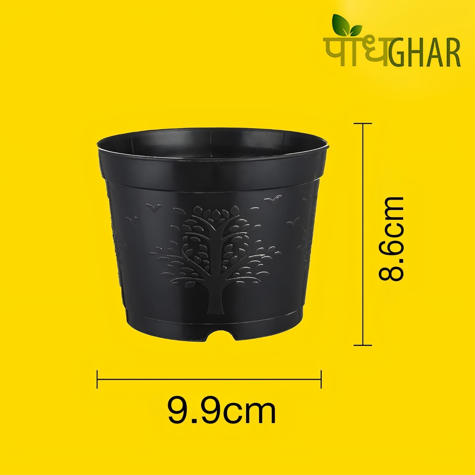 WhatsApp Image 2025 04 01 at 11.06.46 AM 1