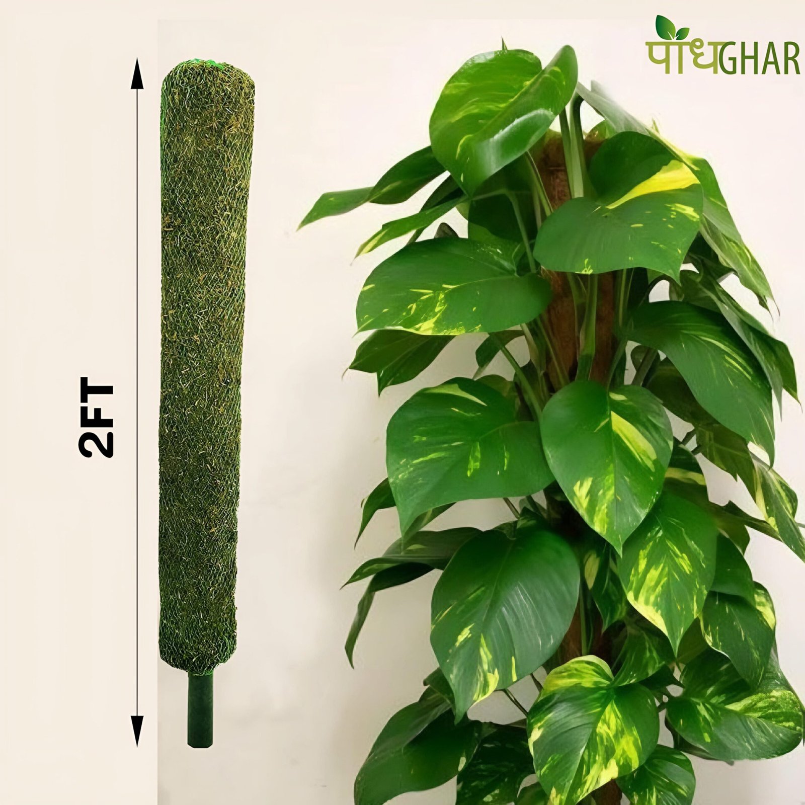The Moss Stick from Podhghar is an essential support for climbing plants, helping them grow strong and healthy. Made from natural materials, it retains moisture, promotes aerial root development, and enhances plant stability. Ideal for indoor and outdoor gardening, it ensures lush, thriving greenery while adding a natural touch.