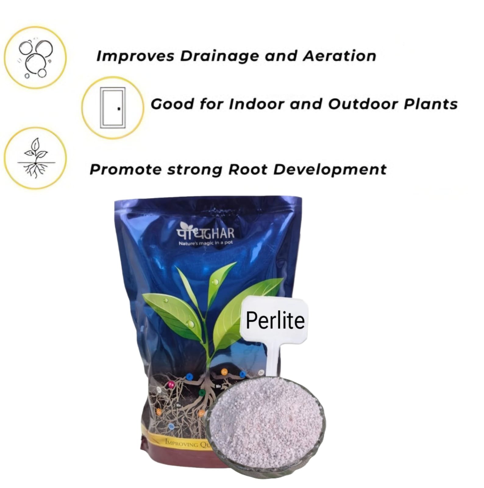 WhatsApp Image 2025 04 07 at 4.22.24 PM