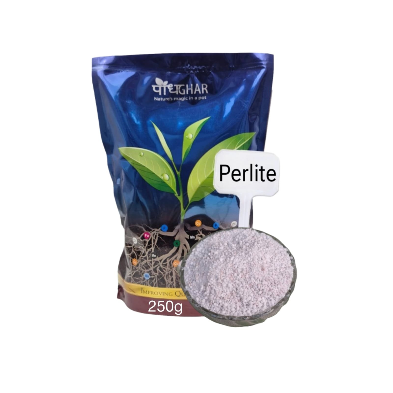 WhatsApp Image 2025 04 07 at 4.33.29 PM