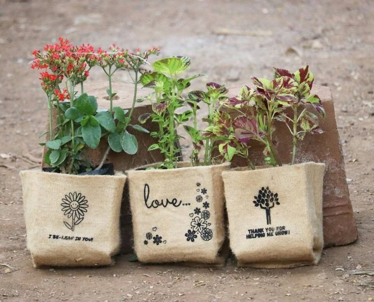 Why Eco-Friendly Pots Are Worth the Investment at Podhghar