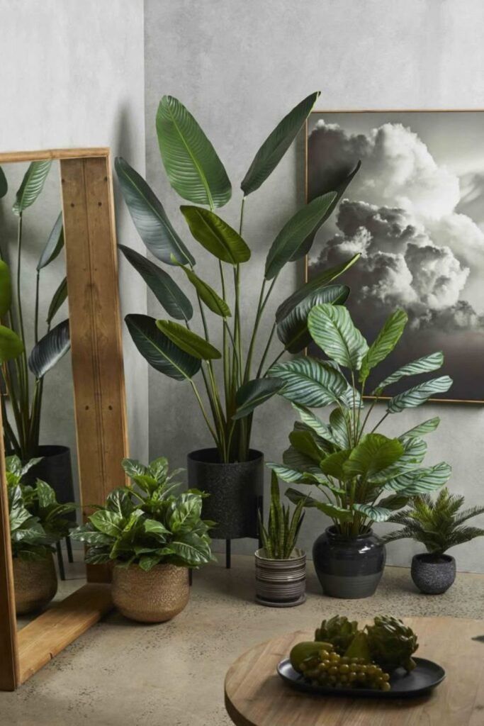 7 Popular Houseplants and What They Reveal About Your Personality – With Podhghar