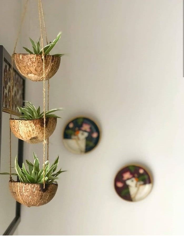 9 Sustainable Plant Pots That Make Your Home Greener | Podhghar