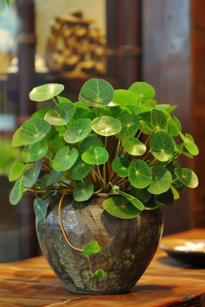 5 Easy Steps to Start Growing Money Plants in Water | Podhghar