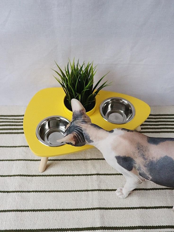 10 Surprising Alternative Uses for Plant Pots | Podhghar
