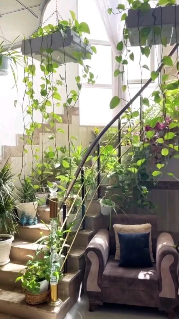 Eco-Friendly Plant Pots: Sustainable Choices for a Greener Home | Podhghar