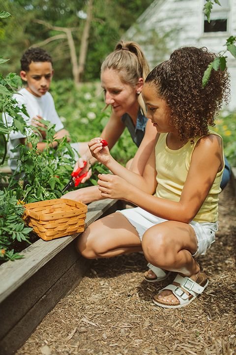 5 Ways Gardening Can Promote Personal Growth and Reflection at Podhghar