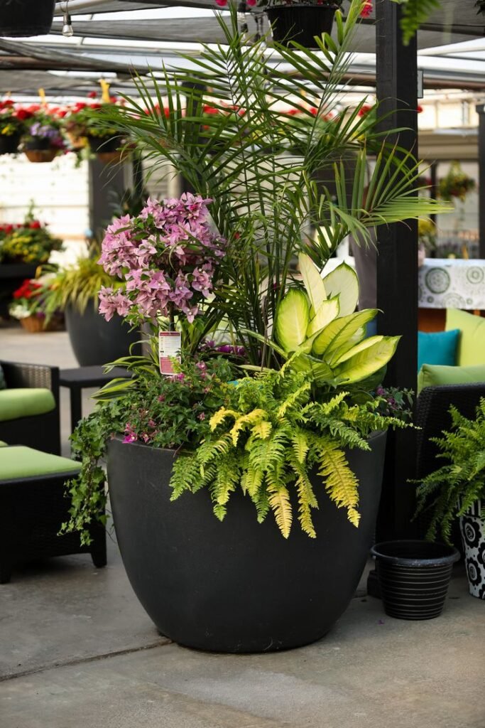 5 Signs Your Plant Needs a Bigger Pot (And How to Fix It!) | Podhghar