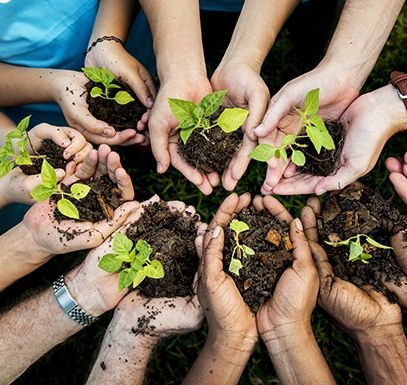 7 Steps to Cultivating Calm: Build a Daily Plant Care Ritual for Better Well-being | Podhghar