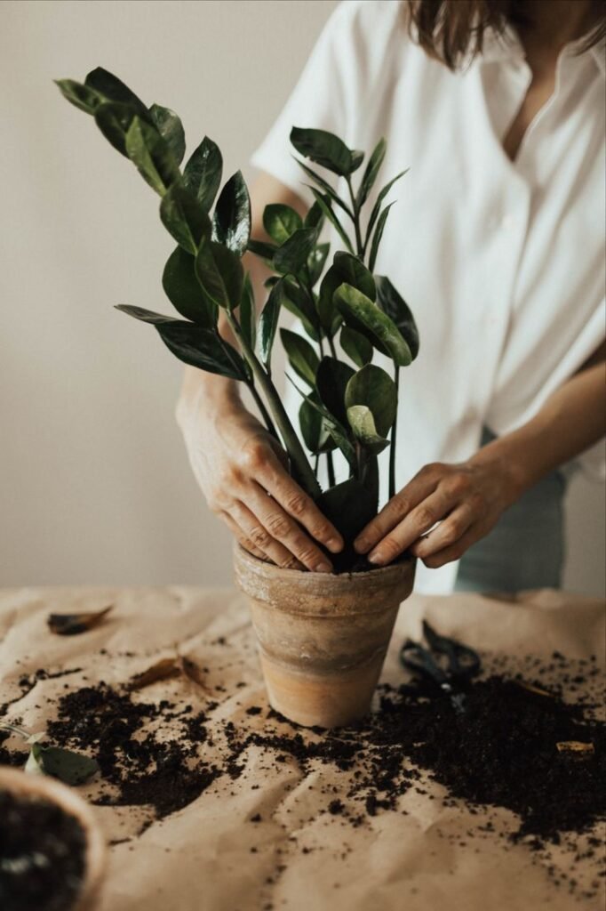 5 Reasons to Choose Self-Watering or Smart Pots for Busy Plant Parents | Podhghar