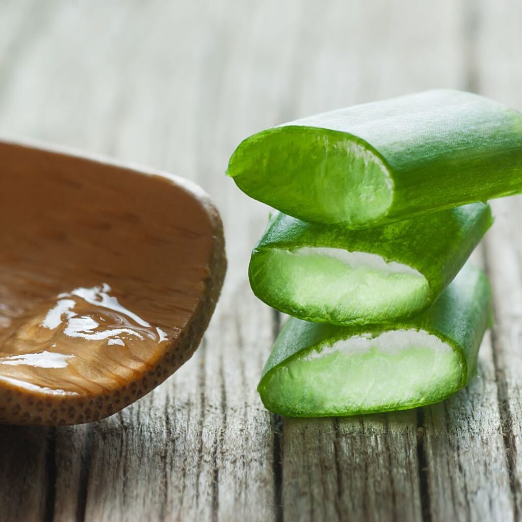 7 Medicinal Plants You Can Grow Indoors (And How to Use Them) at Podhghar