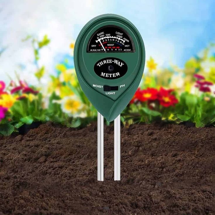 10 Smart Ways to Improve Plant Drainage and Avoid Overwatering – Podhghar