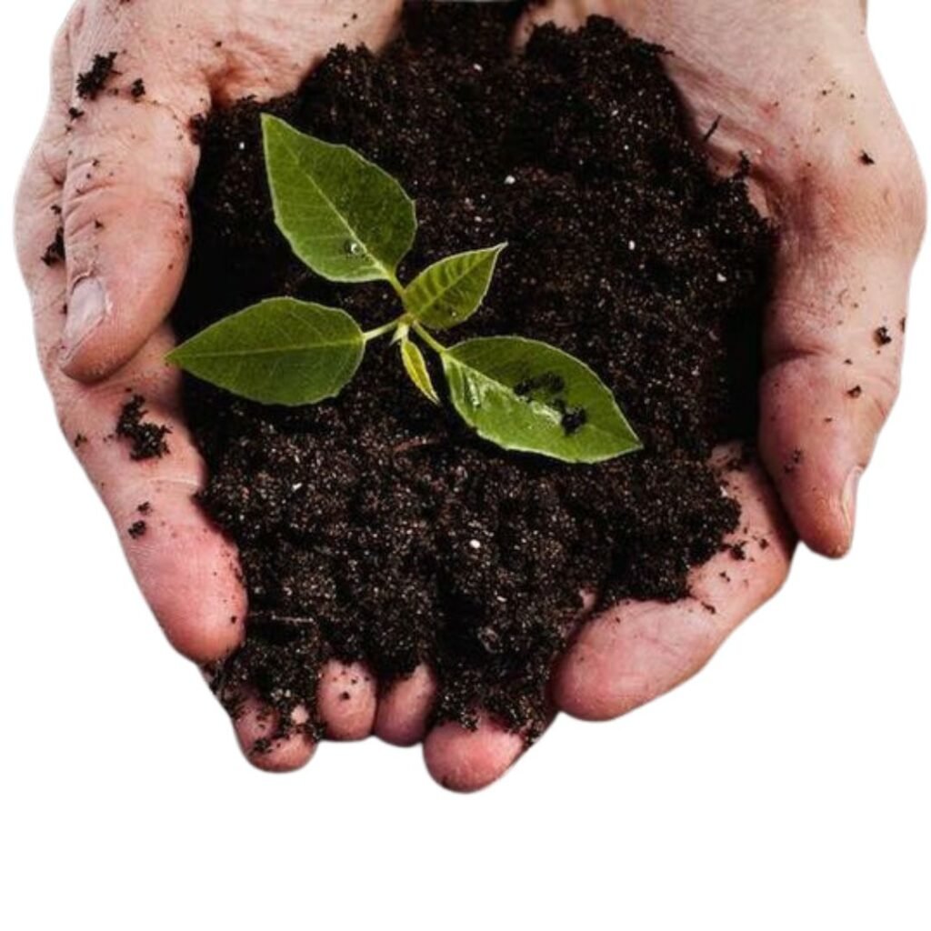 Vermicompost: The Black Gold for Your Podhghar Garden