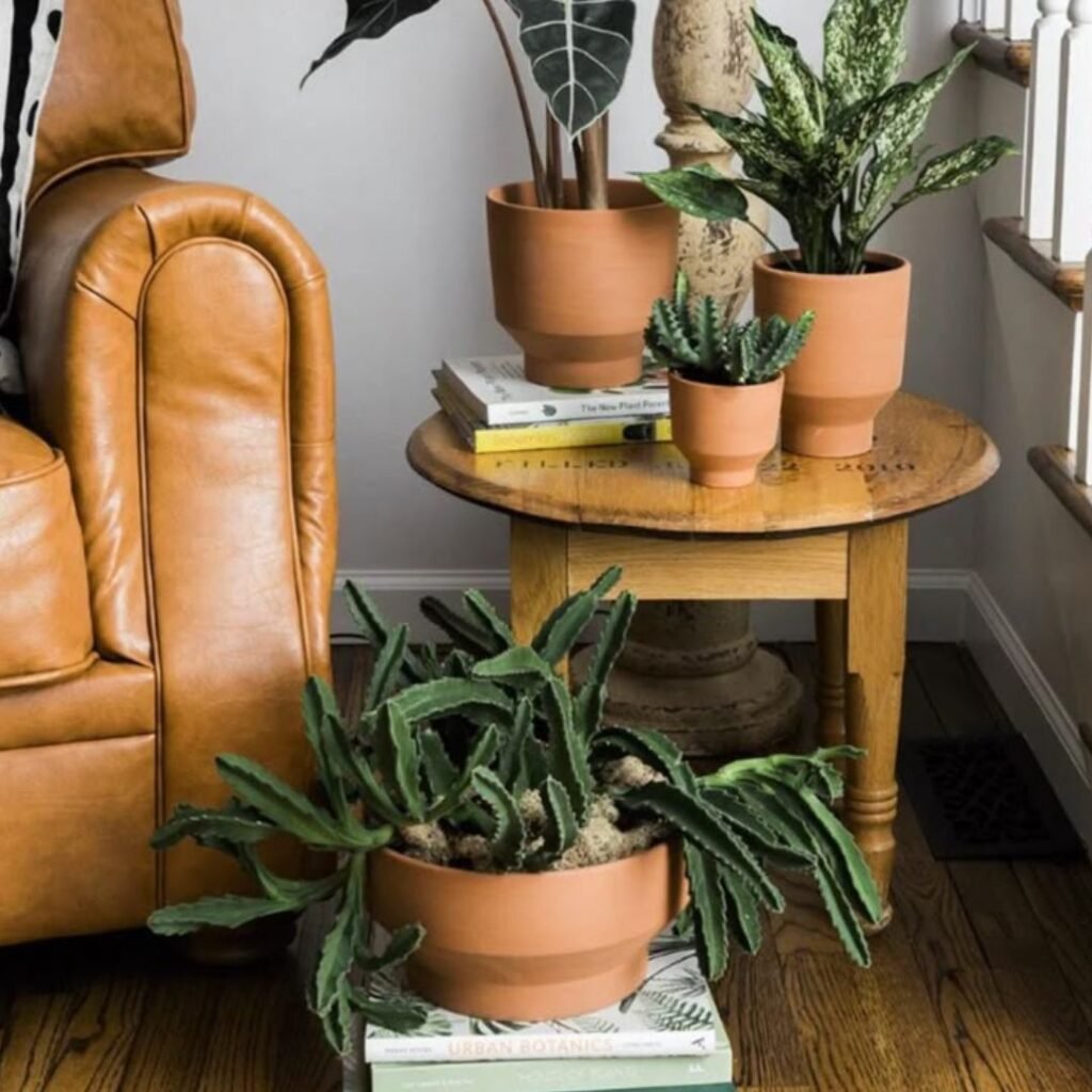 Breathable Pots: Why Terracotta Might Be Your Plant’s Best Friend-Podhghar