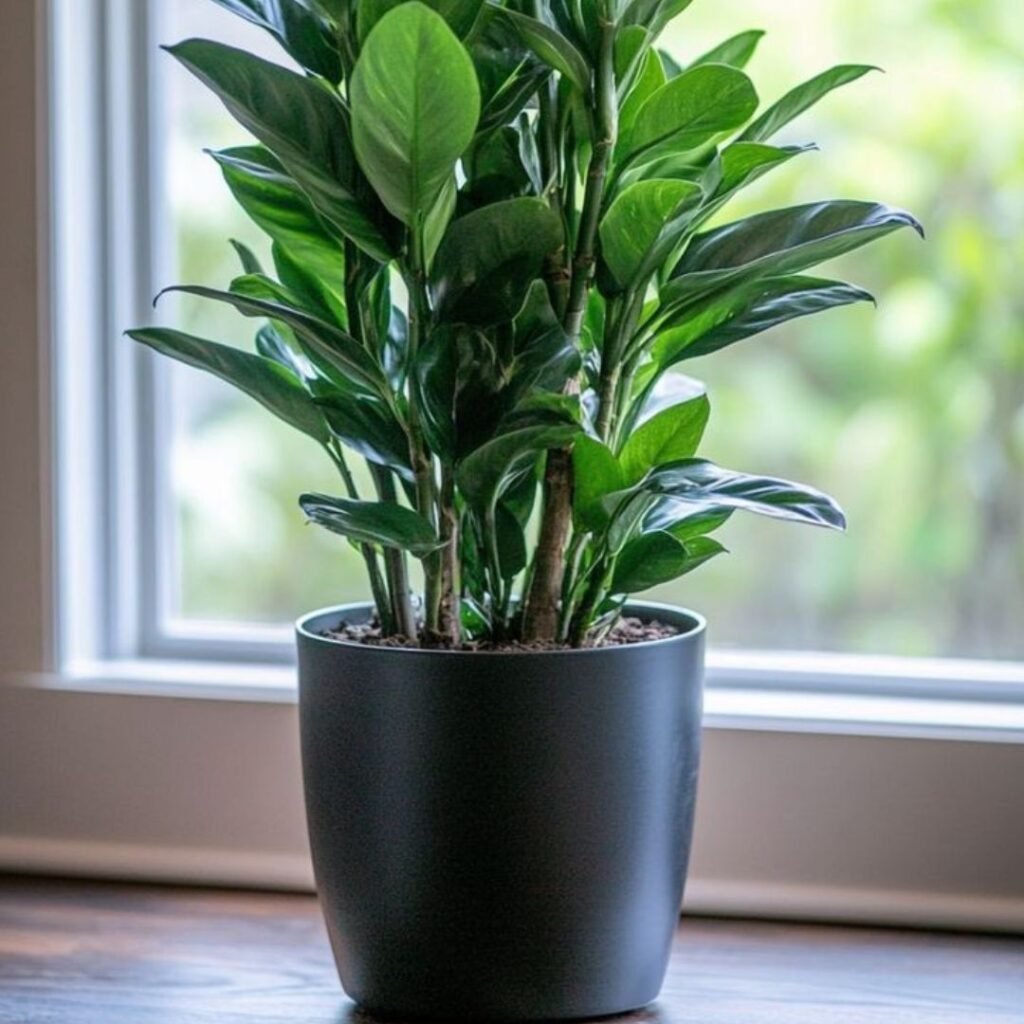 Self-Watering Pots: Are They Worth It for Busy Plant Parents - Podhghar