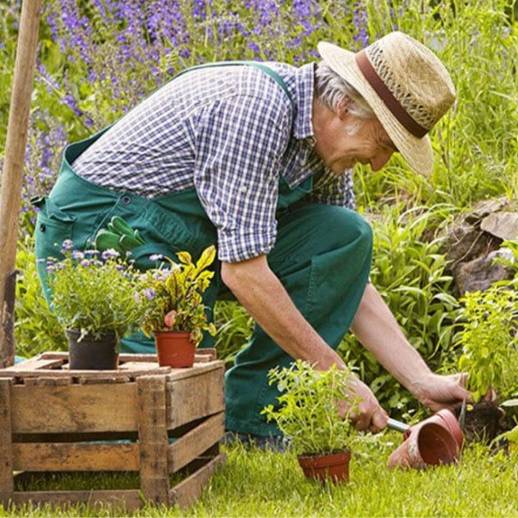 Gardening Tips for Summer: What to Plant & Protect at Podhghar
