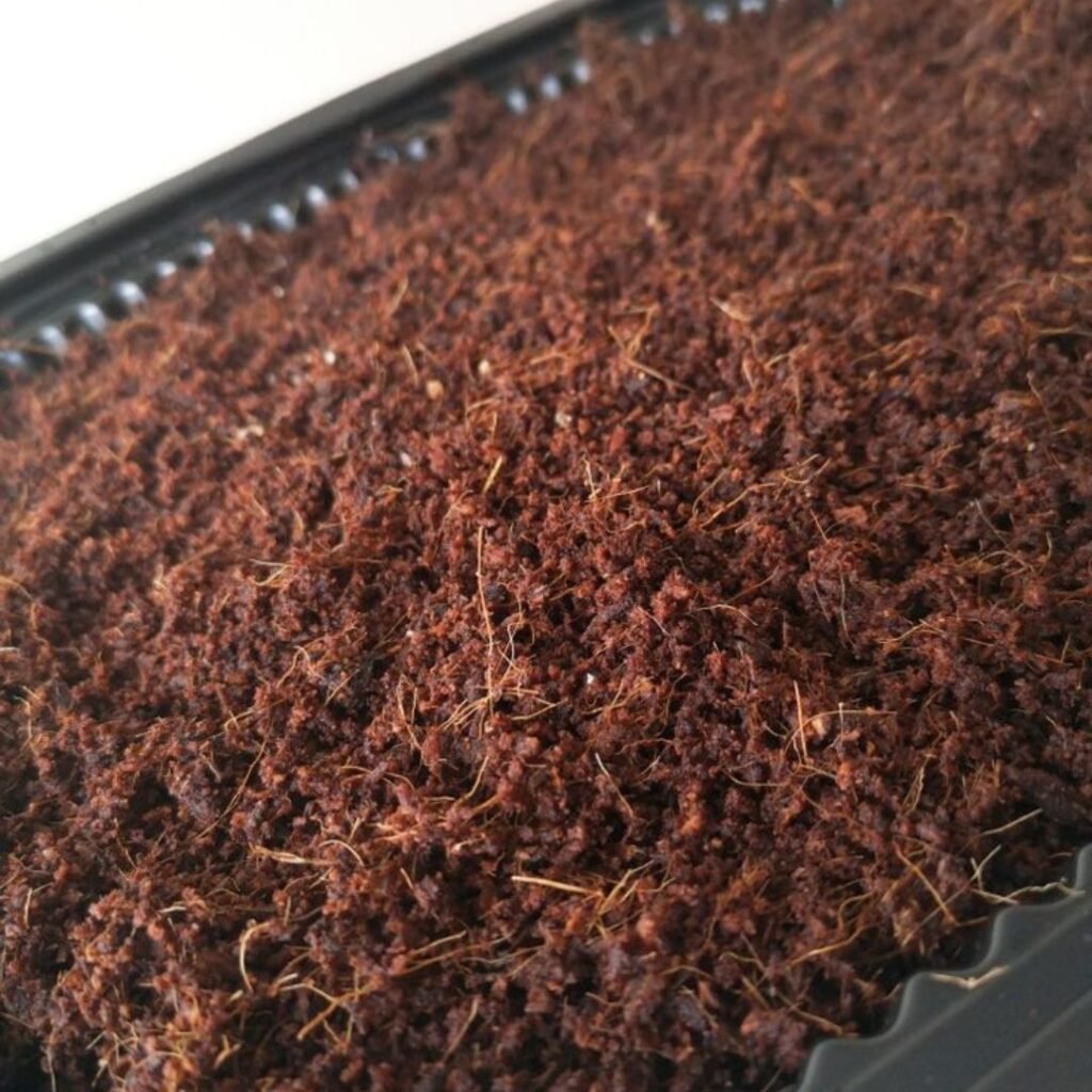 Why Your Plants Need More Than Just Water: The Power of Khaad- Podhghar