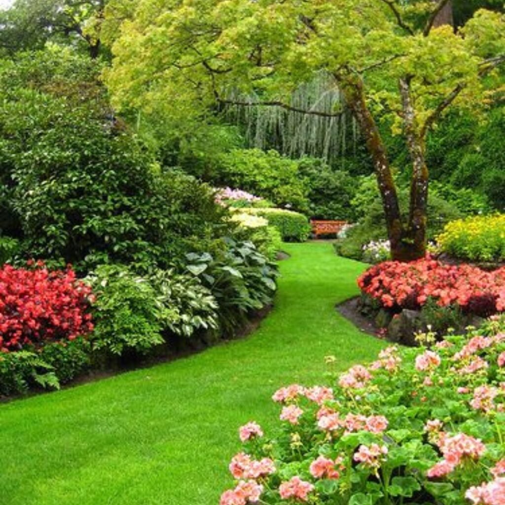 Essential Plant Care Tips for Thriving Greenery in Your Podhghar.