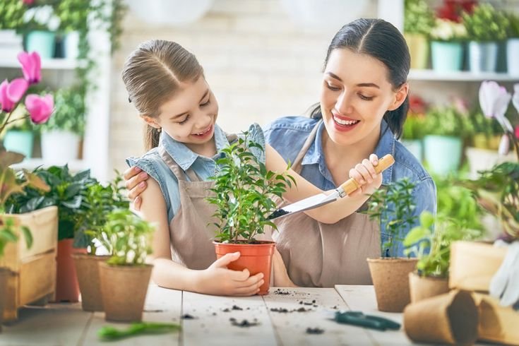 What Weve Learned from Mom Lehmans Simpler Living Blog