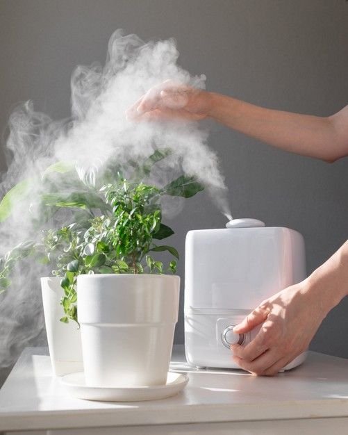 What the Heck Is 10 Best Humidifiers For Baby Room