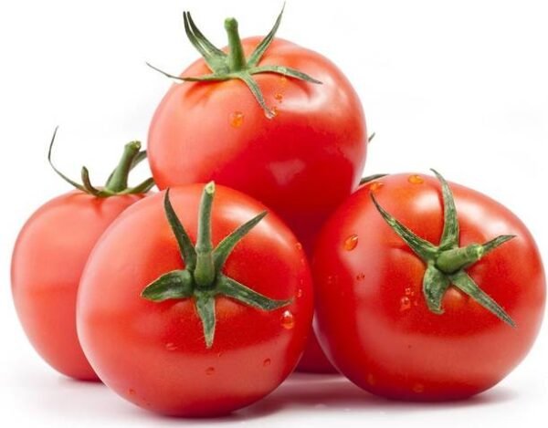 Podhghar Tomato Seeds Benefits